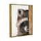 Stupell Industries Raccoon with Wood Fence Illustration Framed Floater Canvas Wall Art